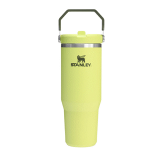 Stanley IceFlow 2.0 Flip Straw Tumbler with Handle, 30oz – Insulated, Leakproof, BPA-Free (Prickly Pear)