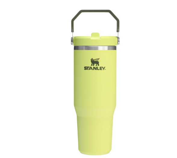 Stanley IceFlow 2.0 Flip Straw Tumbler with Handle, 30oz – Insulated, Leakproof, BPA-Free (Prickly Pear)