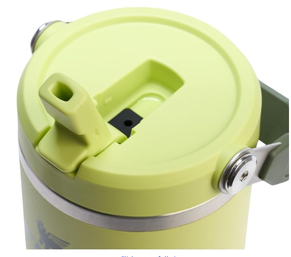 Stanley IceFlow 2.0 Flip Straw Tumbler with Handle, 30oz – Insulated, Leakproof, BPA-Free (Prickly Pear) - Image 3