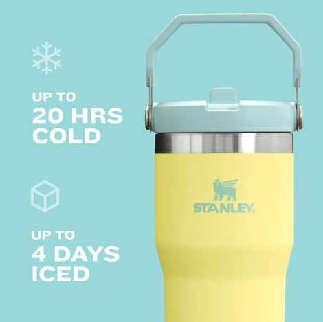 Stanley IceFlow 2.0 Flip Straw Tumbler with Handle, 30oz – Insulated, Leakproof, BPA-Free (Prickly Pear) - Image 4